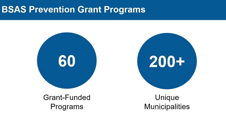 Grantee funded programs