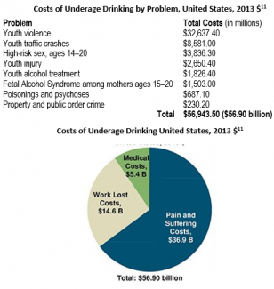 National Cost of Underage Drinking